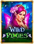 ค าคอม sbobet ค อ คืออะไร? มาหาคำตอบกัน!